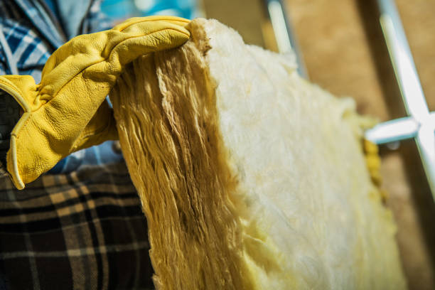 Best Commercial Insulation in Park Hills, MO
