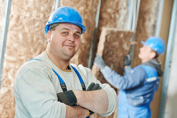 Best Insulation Maintenance and Repair in Park Hills, MO